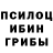 Псилоцибиновые грибы мицелий Danil Supreme