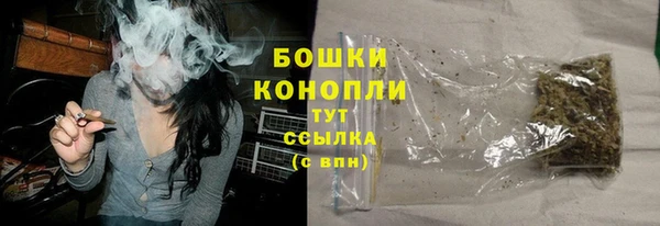 дмт Богородск