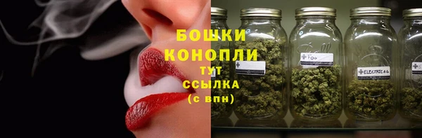 дмт Богородск