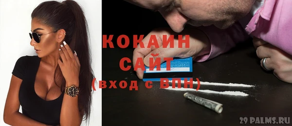 дмт Богородск