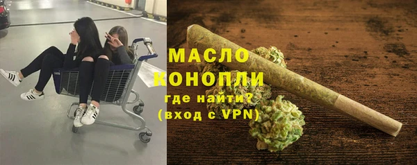 дмт Богородск