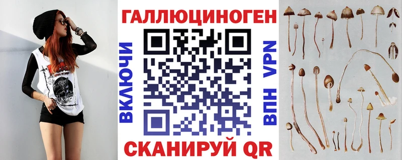 закладка  Верхняя Тура  Галлюциногенные грибы MAGIC MUSHROOMS 